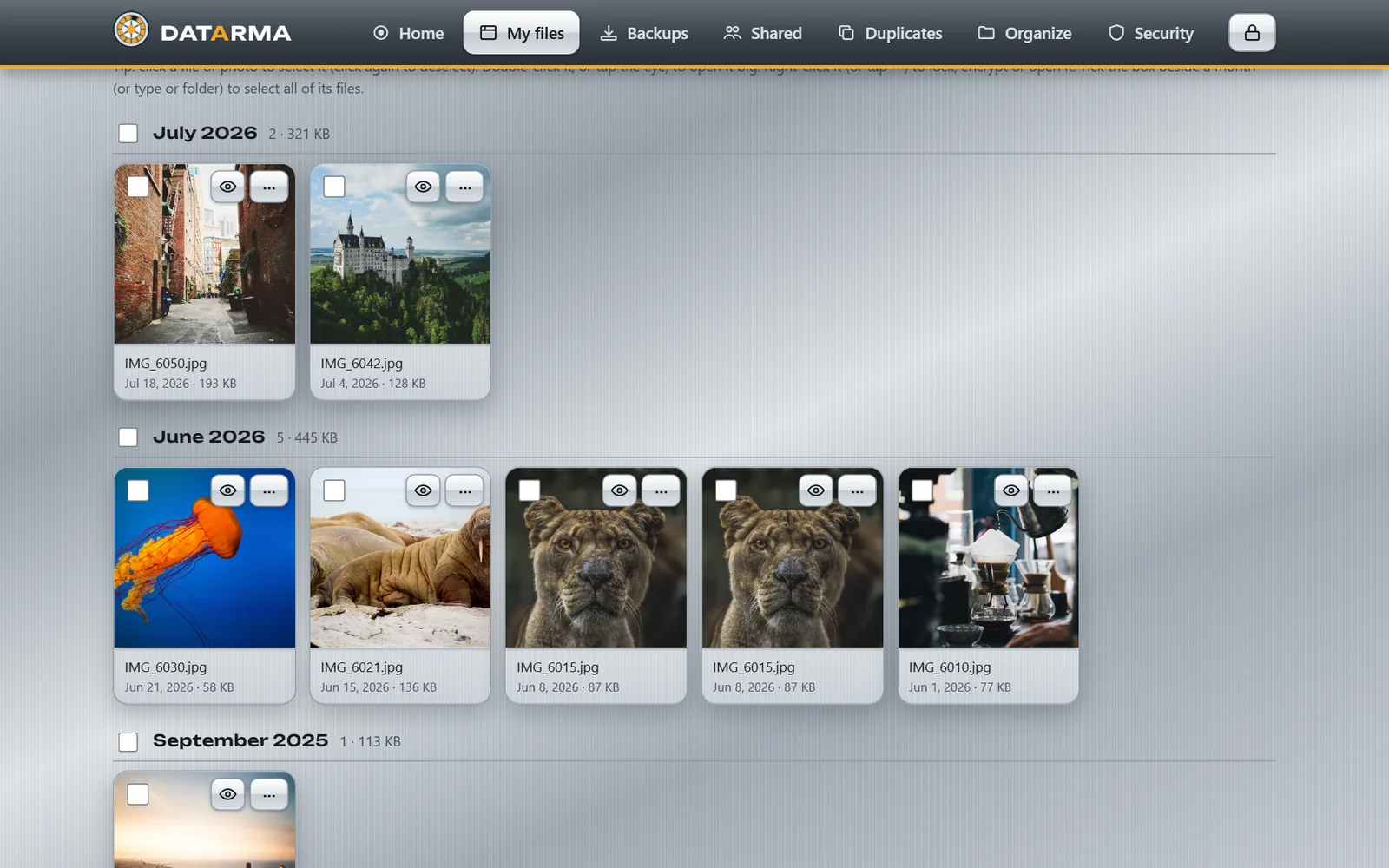 My files: photos grouped by the month they were taken.